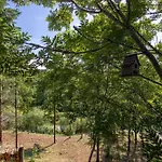 L'eden - Maison D'architecte Dans Les Arbres & Piscine 別荘